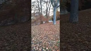 Страсбург: золотая осень