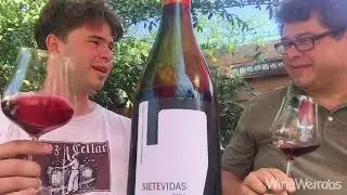 Siete Vidas “Roble” 2018 Vino de la Tierra de Cangas Asturias Spain Red Wine
