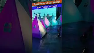 Dream Party sleepovers at Sea World