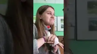 Pov: она завалила егэ и всё равно поступила на бюджет в ВШЭ