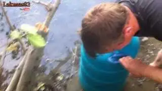 Запустили рыбу в пруд
