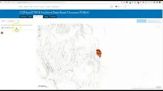 Feature Layer Views for Public Information Maps