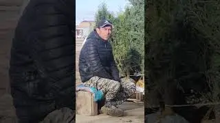 Асқар