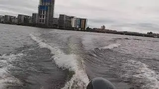 picton kingfisher 18