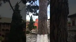 Αγιο όρος μονη Ξενοφώντος