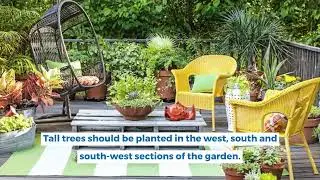 VASTU TIPS FOR PLANTS AND TREES!