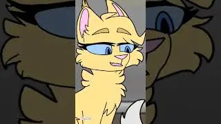 ami-runnig cats