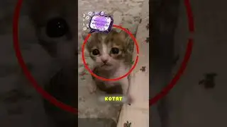 @storiespawsome КОГДА ДЕТСТВО В ЗАИГРАЛО