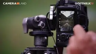 Foto Tips: Tip 10 -  Landschapsfotografie is een lijnenspel