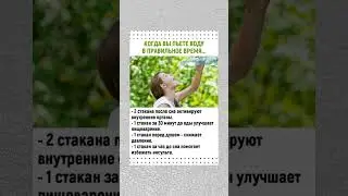 Пьём воду в правильное время  