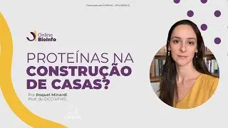 Proteínas e construção de CASAS? | Desenvolvimento de NANOMATERIAS com blocos proteicos padronizados