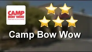Camp Bow Wow San AntonioIncredibleFive Star Review by Meaghan R.