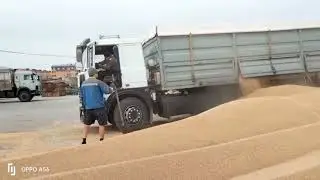 Рабочие будни продолжаются! МАЗ!