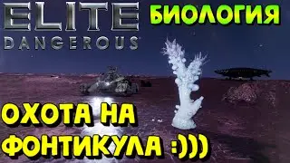 Elite Dangerous - В ПОИСКЕ ФОНТИКУЛА #EliteDangerous #EliteDangerousHorizons #EliteDangerousOdyssey