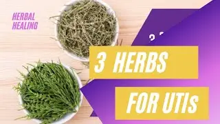 3 HERBAL REMEDIES FOR UTIs | URINARY TRACT INFECTION | HERBS THAT WORK