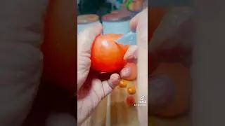 Tomato cutting 