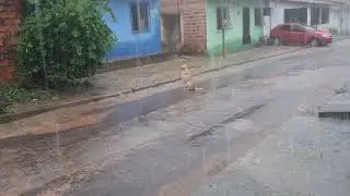 que chuva boa  é essa meu povo kkkk
