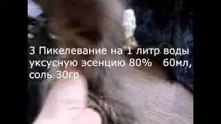 Выделка шкур нутрии