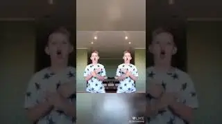 Много комаров