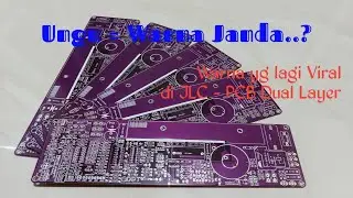 Ungu Itu Janda ...? Janda suka Terong..!!! PCB Ungu Ikutin Trend