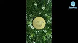 Visiting IUNIK HQ | HaruTube