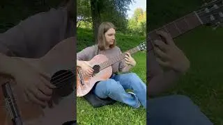 гуси предательски смеются над мной #гитара