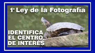 IDENTIFICA EL CENTRO DE INTERÉS. Primera Ley de la Fotografía. Cómo mejorar tus fotos.