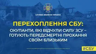 У нас два пути: либо 200-ым, либо 300-ым вернуться домой.