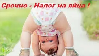 СРОЧНО - НАЛОГ НА ЯЙЦА !