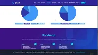 Обзор Ico ONAM . (author Yhotolu)