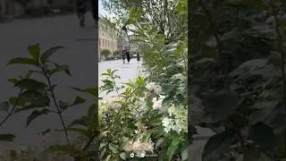 💫 Атмосфера казанского благоустройства #shorts