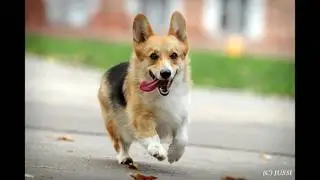 Мое измененное видео