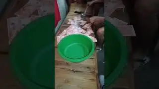 Sandok pera challenge