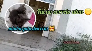 Minha gata deu cria de 6 filhotes - mãe aos 19