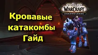 Разбор полетов #14 Кровавые катакомбы [WoW: Shadowlands]