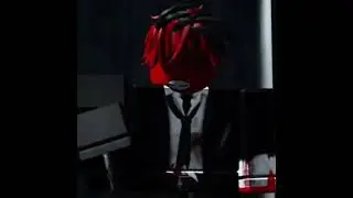 Дима хватит «глитчоус, дядя саня»