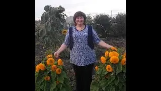 ВЫШИВАЛЬНЫЕ ВСТРЕЧИ: У МЕНЯ В ГОСТЯХ СВЕТЛАНА КОШКАРЕВА