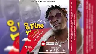 Twice B - Too Fine (Official Audio)