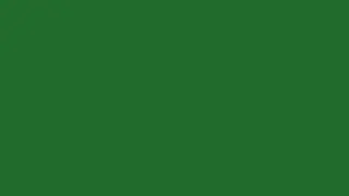 MONEY - rgb color hex 