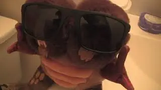 Demo being a wild party? (Skit)