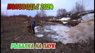ПОЛОВОДЬЕ 2024 ГОДА! РЫБАЛКА НА ПАУК! ПЕРВЫЙ ПРОБНЫЙ ВЫХОД!