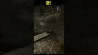 Поведение голозадых