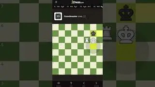 Rook Checkmate