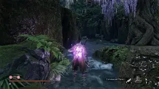Sekiro: Shadows Die Twice_20240518140951