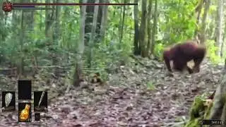Dark Souls Monke Shitpost