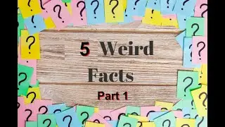 Top 5 - Weird Facts - Part 1