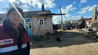 Лошадь с проблемой на ноги