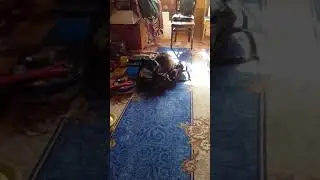 Маня чудит.