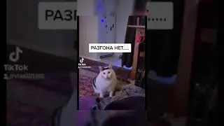 Ланос заз шанс спорт
