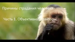 ПРИЧИНЫ СТРАДАНИЙ ЧЕЛОВЕКА. ЧАСТЬ 1. ОБЪЕКТИВНЫЕ ФАКТОРЫ.